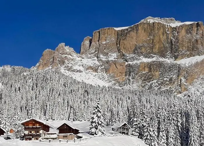 샬레 Crepes De Sela *